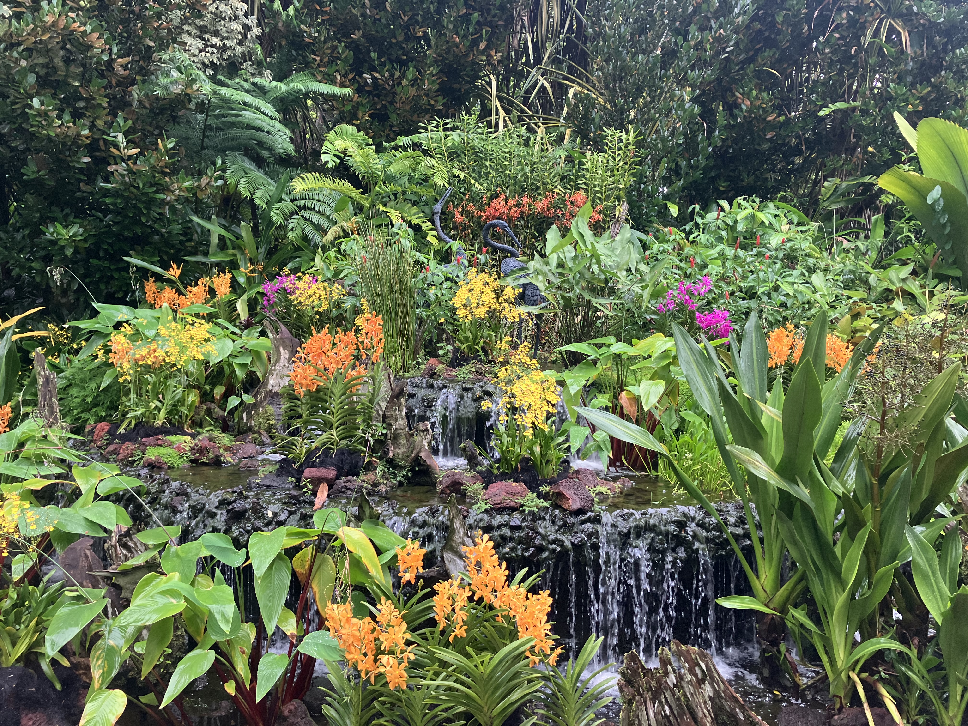 Singapore Botanical Gardens